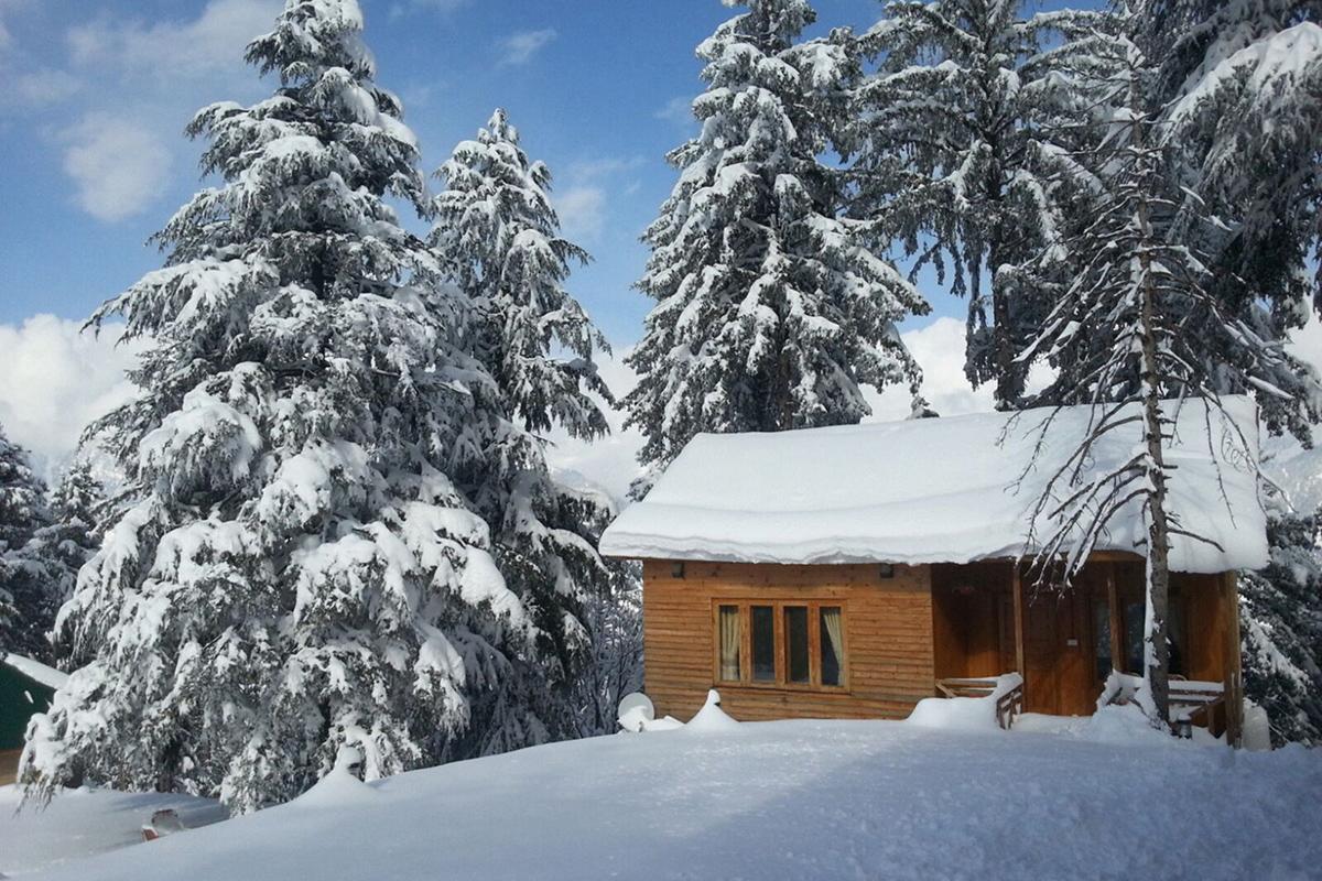 Arcadian Sprucewoods Hotel Shogran Exterior foto